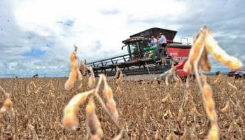 Goiás registra superávit de US$ 222 milhões na Balança Comercial de fevereiro