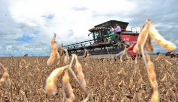 Goiás registra superávit de US$ 848 milhões na balança comercial de março