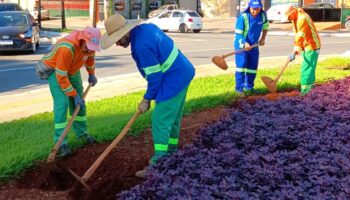 Avenida Goiás e 22 praças da capital passam por paisagismo