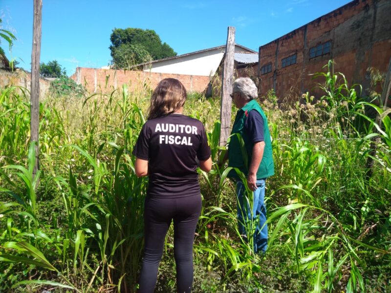 Prefeitura de Goiânia adota novo modelo para agilizar limpeza de lotes baldios