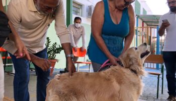 Goiânia oferta vacinação antirrábica nos dias 4 e 11 de outubro
