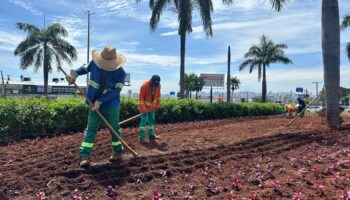 Comurg prevê plantio de 76,8 mil mudas em canteiros de praças e vias de Goiânia até fim de dezembro